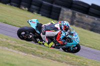 PJ-Motorsport-2019;anglesey-no-limits-trackday;anglesey-photographs;anglesey-trackday-photographs;enduro-digital-images;event-digital-images;eventdigitalimages;no-limits-trackdays;peter-wileman-photography;racing-digital-images;trac-mon;trackday-digital-images;trackday-photos;ty-croes